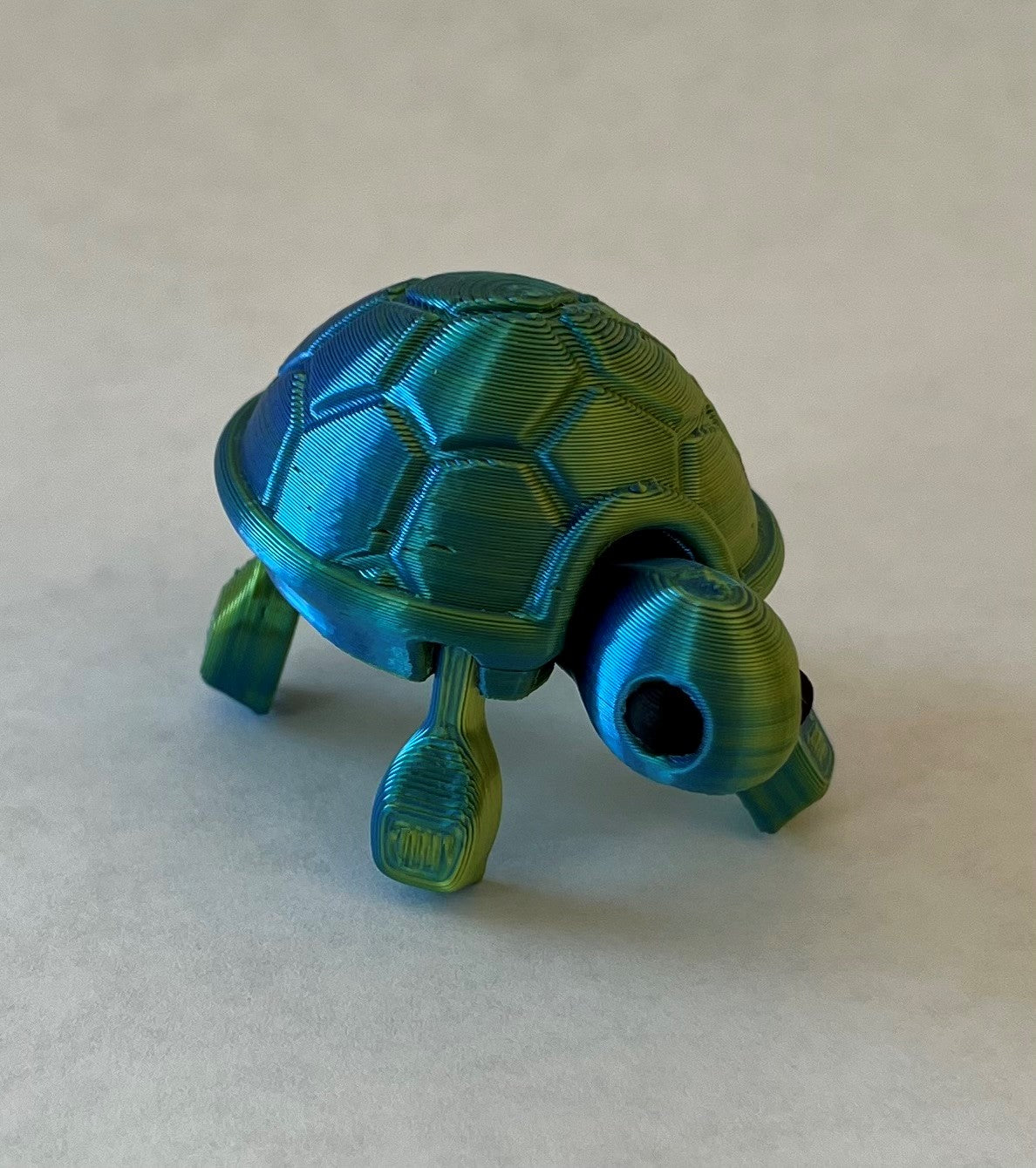 3D printed Turtle