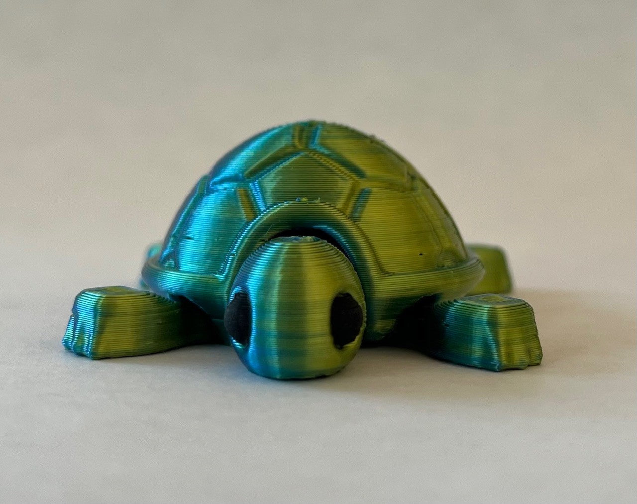 3D printed Turtle